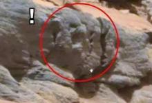 火星上发现一骷髅头 像是地上外星人的头骨