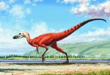 世界上最袖珍的恐龙 彻底颠覆你对恐龙的印象
